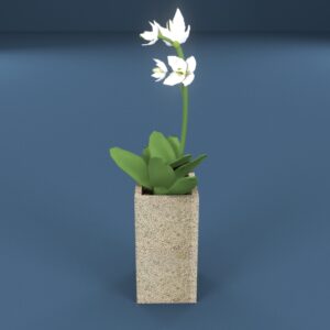 Iris Potted Plant 3D model instant download 3D tools OBJ 3DS Max File