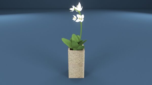 Iris Potted Plant 3D model instant download 3D tools OBJ 3DS Max File