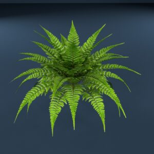 Fern Plant 3D model instant download 3D tools OBJ 3DS Max File