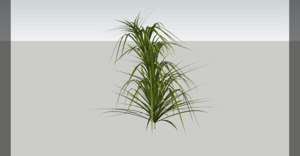 Grass 3D model Max File