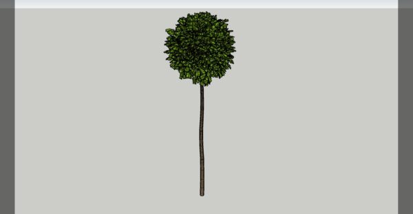 Lollipop Topiary 3D model Max File
