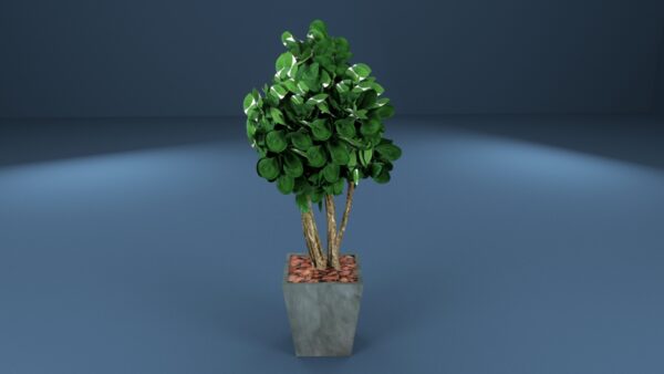 Money Tree 3D model instant download 3D tools OBJ 3DS Max File