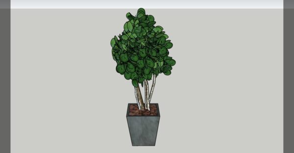 Money Tree 3D model Max File