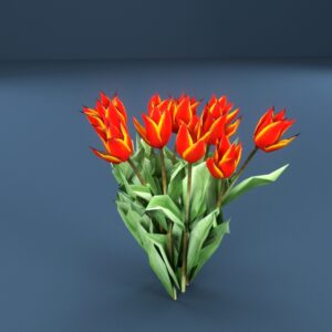 Orange Tulip 3D model instant download 3D tools OBJ 3DS Max File