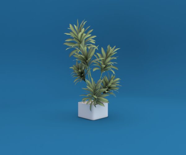 Potted Ficus Plant 3D model instant download 3D tools OBJ 3DS Max File