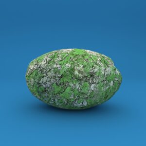 Round Rock With Moss 3D Model
