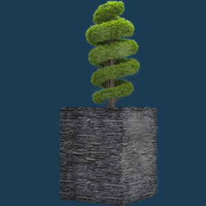 Spiral Topiary Plant 3D model instant download 3D tools OBJ 3DS Max File
