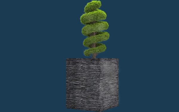 Spiral Topiary Plant 3D model instant download 3D tools OBJ 3DS Max File