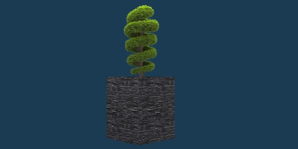 Spiral Topiary Plant 3D Model