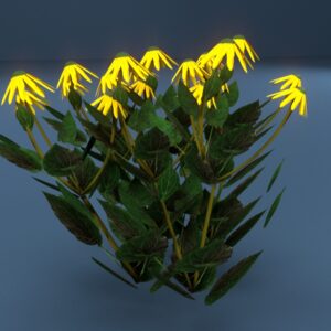 Sunflower 3D model instant download 3D tools OBJ 3DS Max File