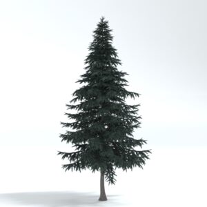 Deodar Cedar Tree 3D model instant download 3D tools OBJ 3DS Max File