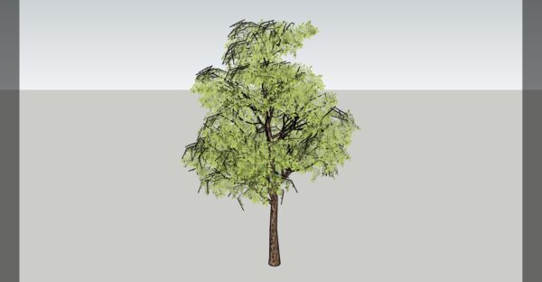 Oak Tree 3D model instant download 3D tools OBJ 3DS Max File