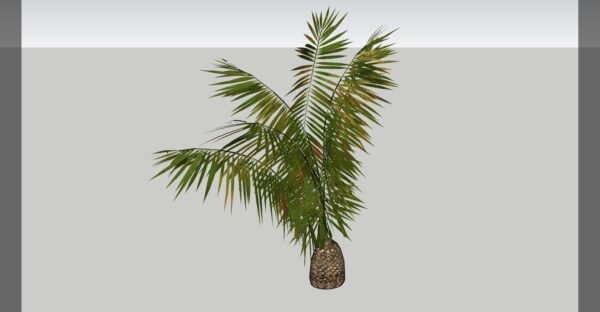 Palm Tree 3D model instant download 3D tools OBJ 3DS Max File