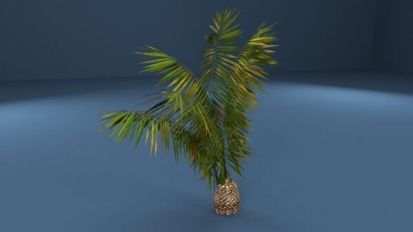 Palm Tree 3D model Max File