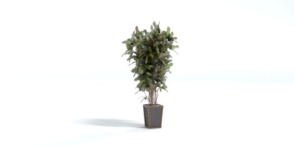 Potted Tree Plant 3D model instant download 3D tools OBJ 3DS Max File
