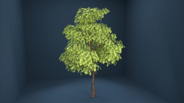 Yellow Birch Tree 3D model instant download 3D tools OBJ 3DS Max File